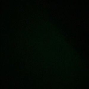 Meet your Posher, Kaden